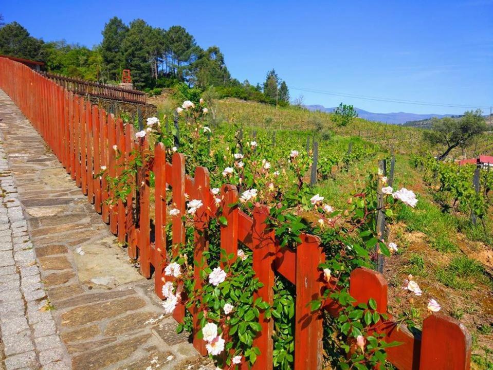 Casa Do Poco - Douro Hotel Peso da Régua Eksteriør billede