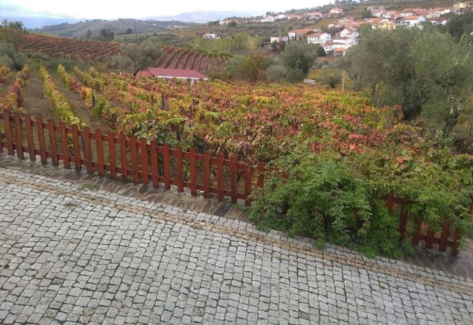 Casa Do Poco - Douro Hotel Peso da Régua Eksteriør billede